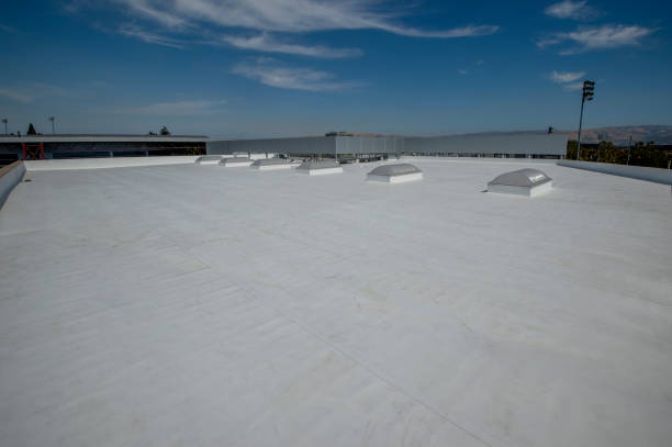 Best Cold Roofs  in Berwyn, IL